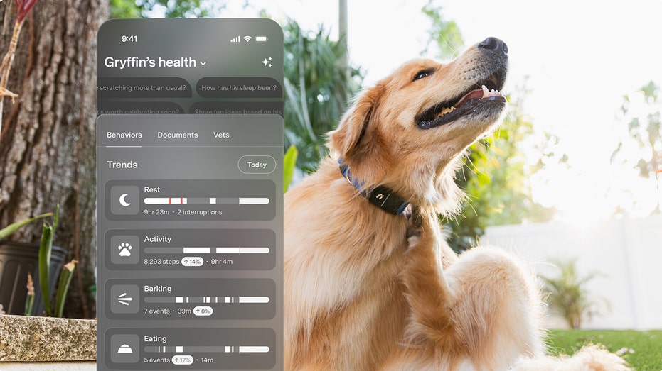 Fi AI-powdered dog collar tracks health information for pet parents