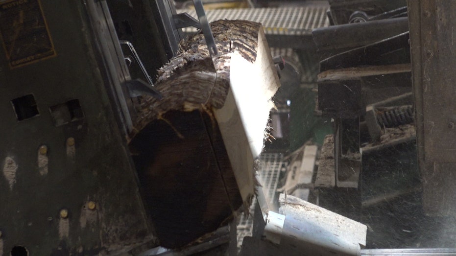 Cut logs to logs in South Pittsburgh, Tennessee