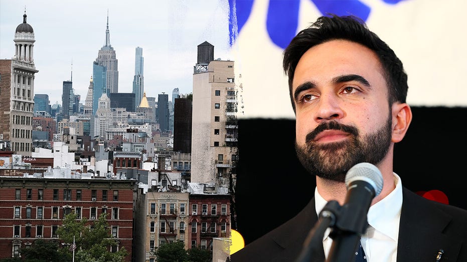 Zohran Mamdani New York City mayoral candidate