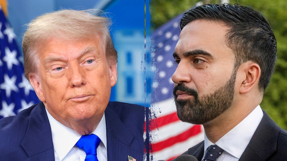 President Donald Trump was divided with Zahran Mamdani