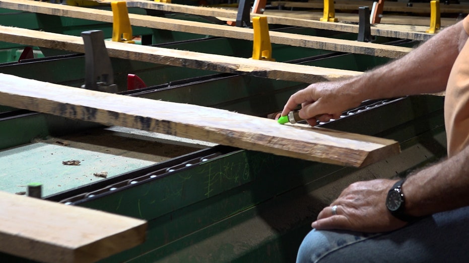 Inspector grades wood at a sawmill in South Pittsburg, TN