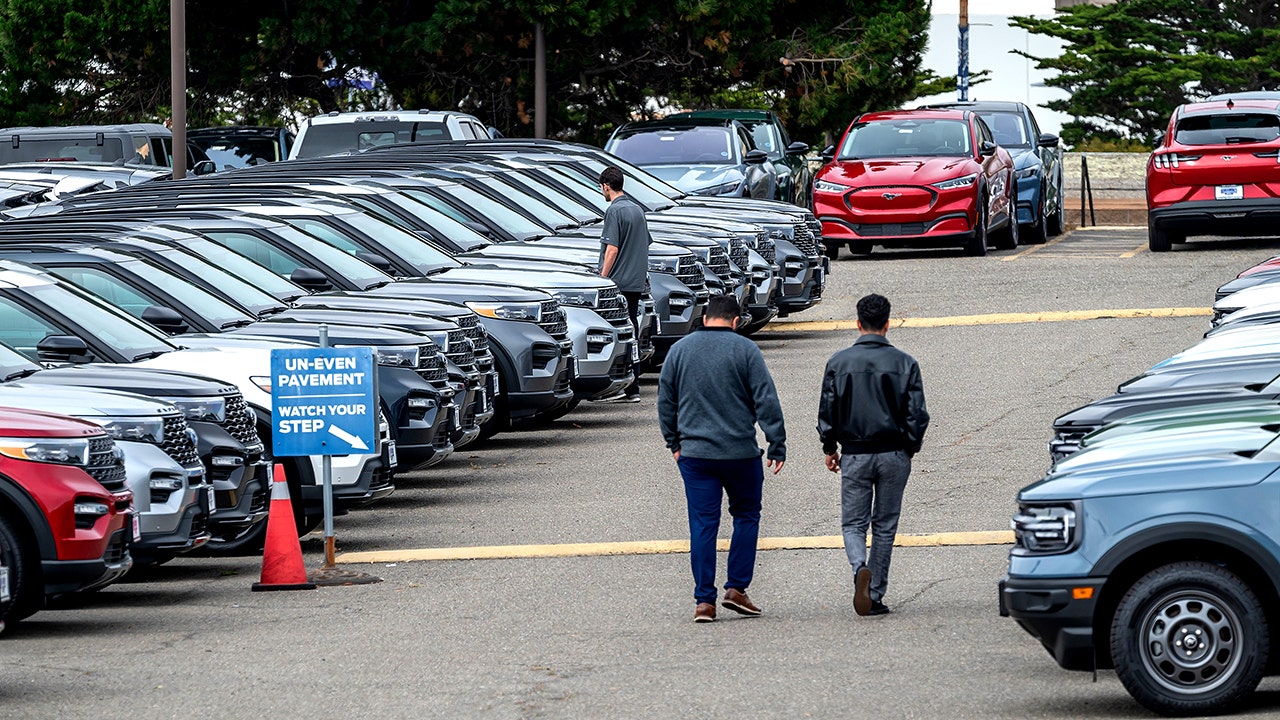 Ford recalls more than 200,000 vehicles with software glitch due to crash risk