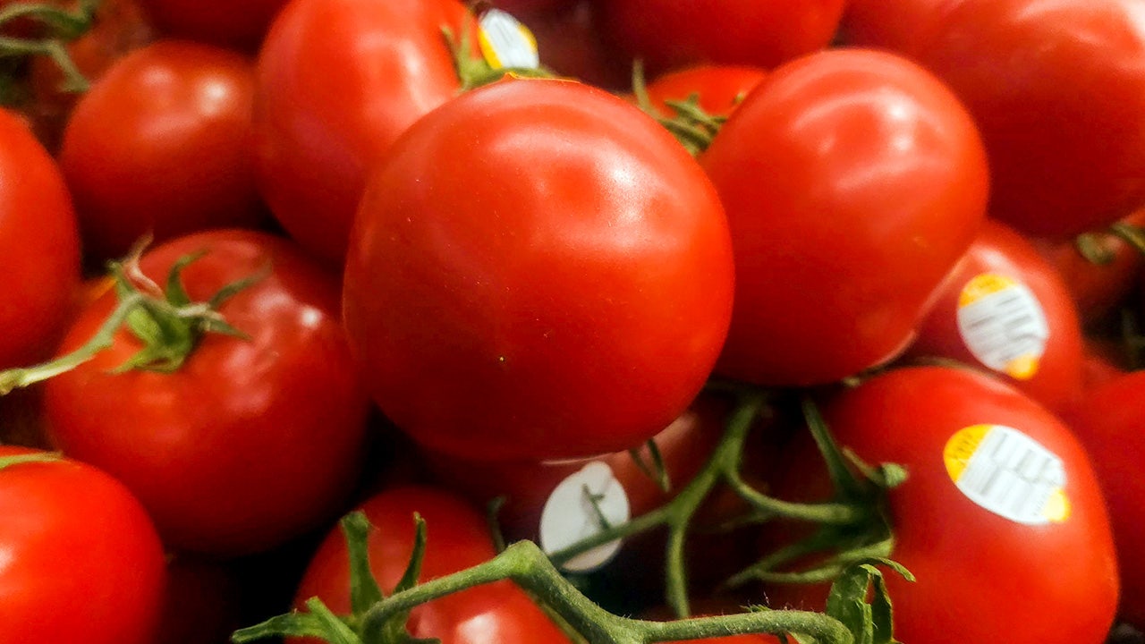 Mexico Tomato Cariff Union Between Investor Insector Mexico Tomato Cariff Union Between Investor Insector