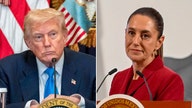 Trump agrees to extend deadline for Mexico trade deal after 'successful' call