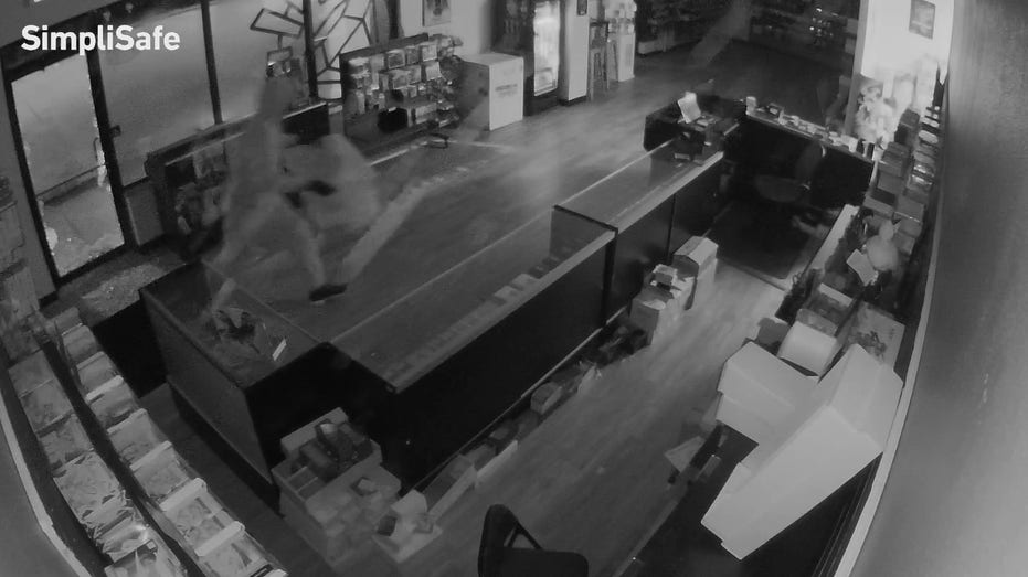 Thief carrying a tote