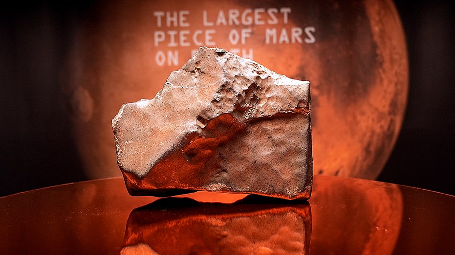 Martian Rock For Auction