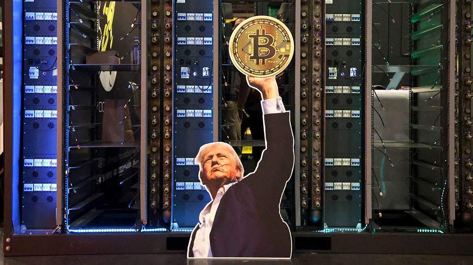 Donald Trump Cutout Bitcoin Logo