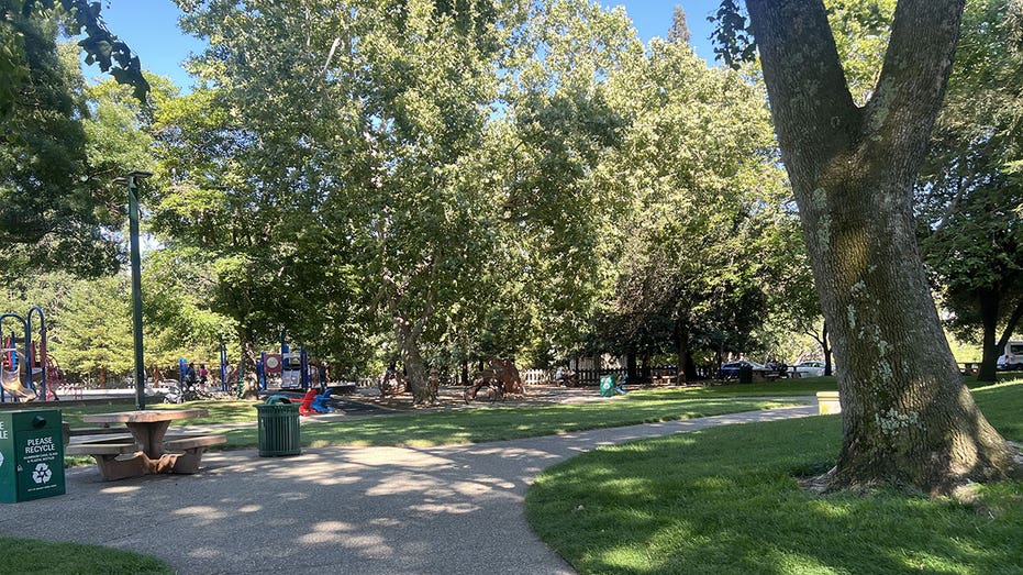 Families enjoying a playground beneath tall shade trees at Civic Park, Walnut Creek, California, June 10, 2025. (Photo by Smith Collection/Gado/Getty Images)