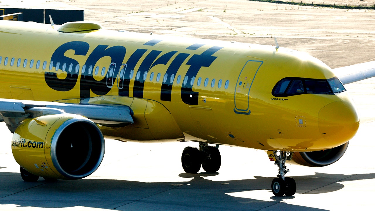 Spirit aircraft warns that they may be survivable by another year among money problems