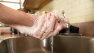 Hand soaps recalled over bacteria that could lead to 'life-threatening sepsis' - Fox Business News
