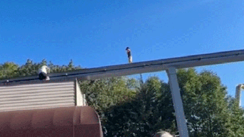 Parents watch in fear as boy walks elevated track at popular theme park - Fox News