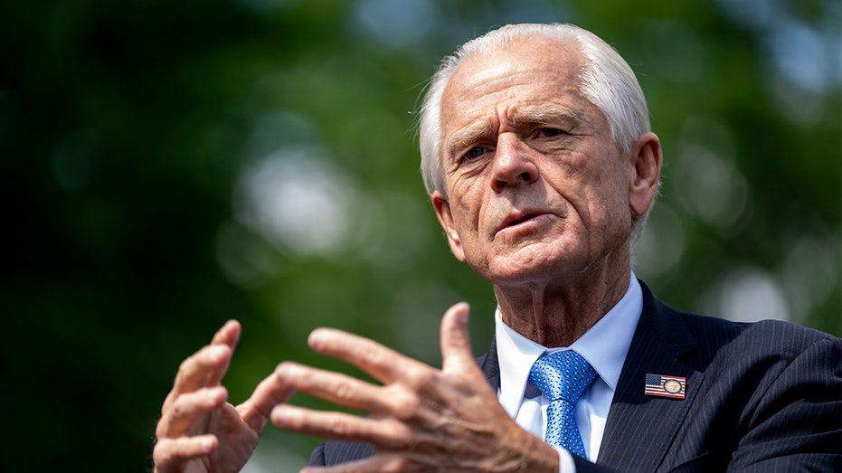 Peter Navarro speaks outside the White House in Washington, DC