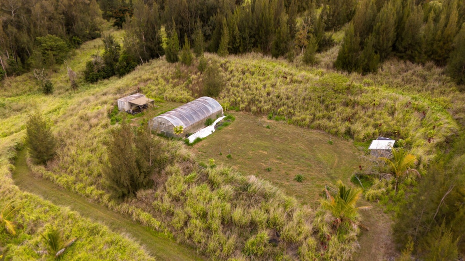 The property also boasts a greenhouse and many different fruit trees.