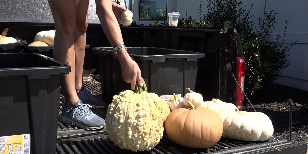 Seasonal porch decorators say business is taking off this year