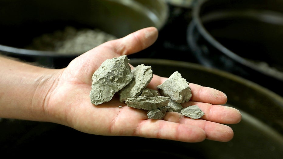 A man holds lithium in his hand