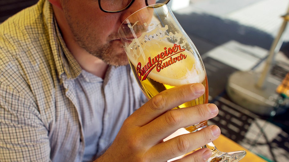 Man Drinking Budweiser Beer