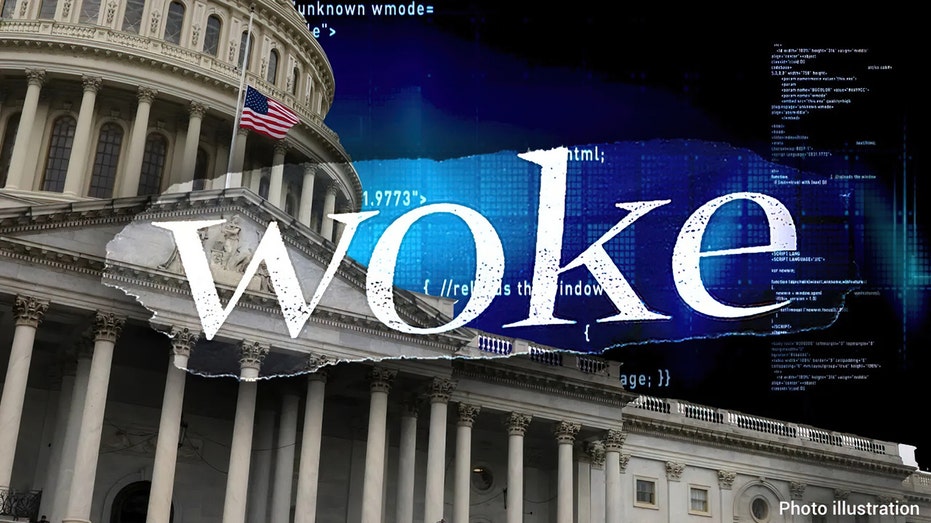 Woke wording spread across A.I., U.S. Capitol background