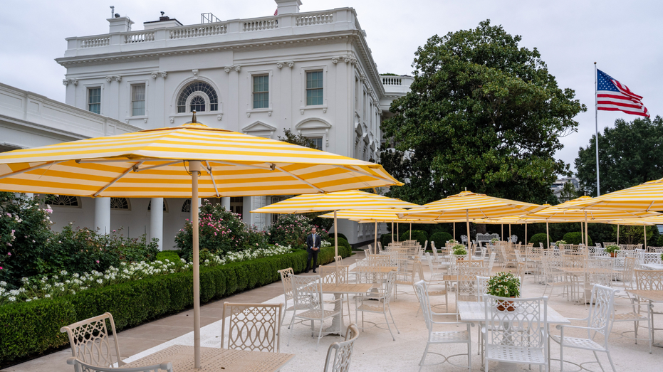The View of the White House Rose Garden