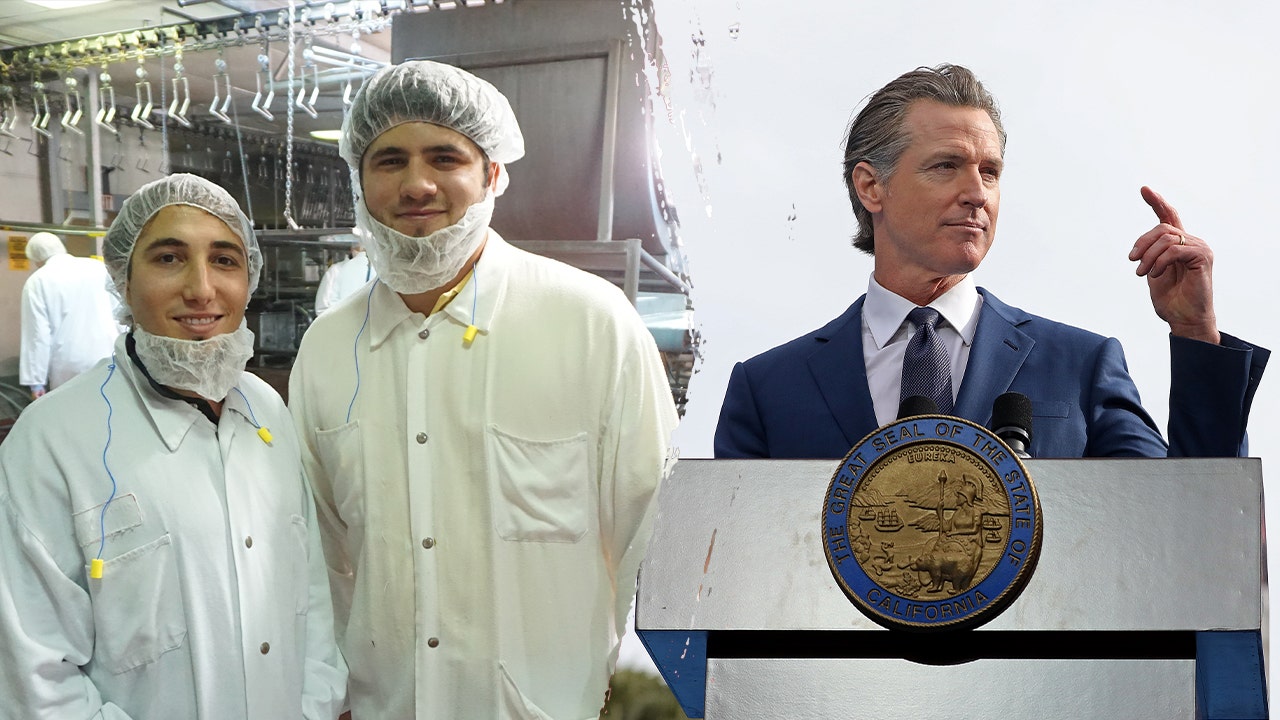 Businessman-turned-gubernatorial candidate reveals how Dem regulations destroyed his family’s company Businessman-turned-gubernatorial candidate reveals how Dem regulations destroyed his family’s company