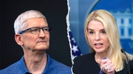 Apple takes down ICE tracking apps after pressure from Bondi DOJ