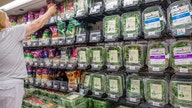 FDA concludes probe into deadly lettuce outbreak that sickened more than 12,800 - Fox Business News