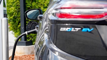 Owning an electric car could become a side hustle as automaker wants to pay drivers - Fox News