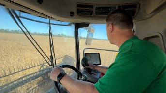 Midwest soybean farmers face financial ruin as production costs soar - Fox News