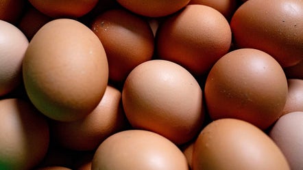 Put Some Eggs in This Stock’s Basket. It’s Time to Buy.