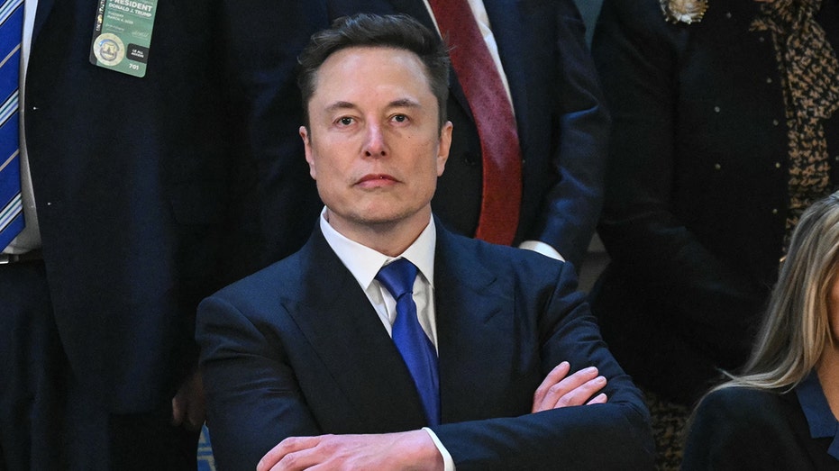 Elon Musk in Congress.