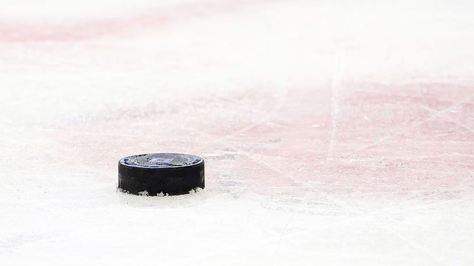 Hockey puck