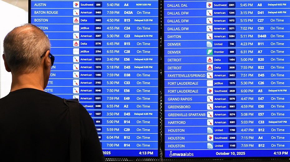 Man checks flight info during shutdown