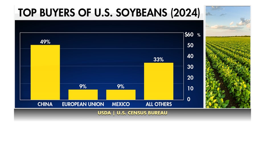 Bar chart showing the top buyers of U.S. soybeans in 2024, with China accounting for 49 percent, the European Union and Mexico at 9 percent each, and all other countries at 33 percent.