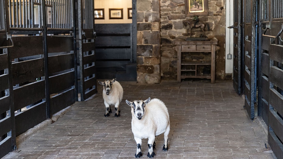 The property also features stables.