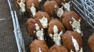 Livestock is seen in corrals at the Canuelas market, in Canuelas, Buenos Aires, Argentina, May 20, 2025. - Fox Business News