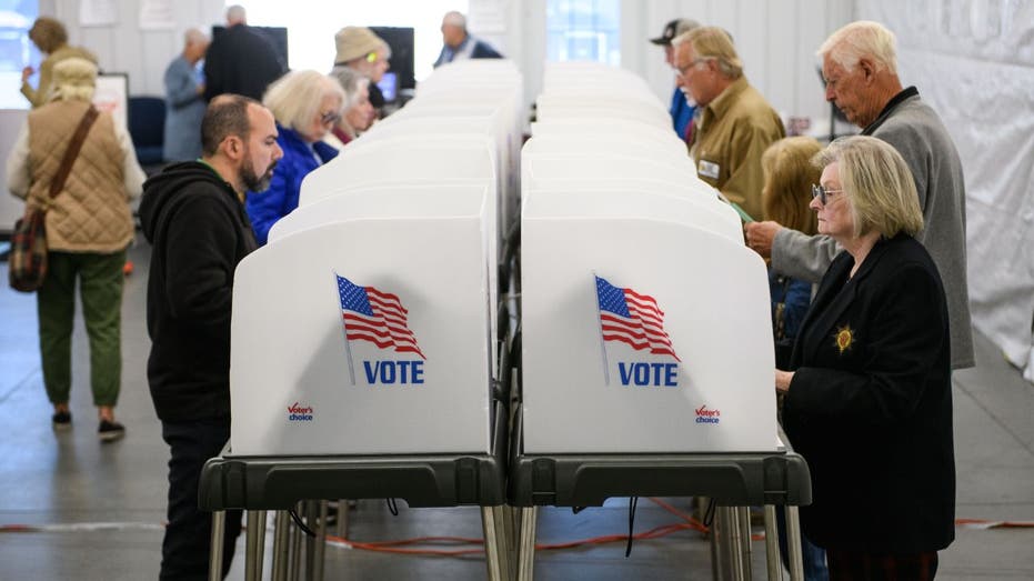 Voters at voting booths with American flags.