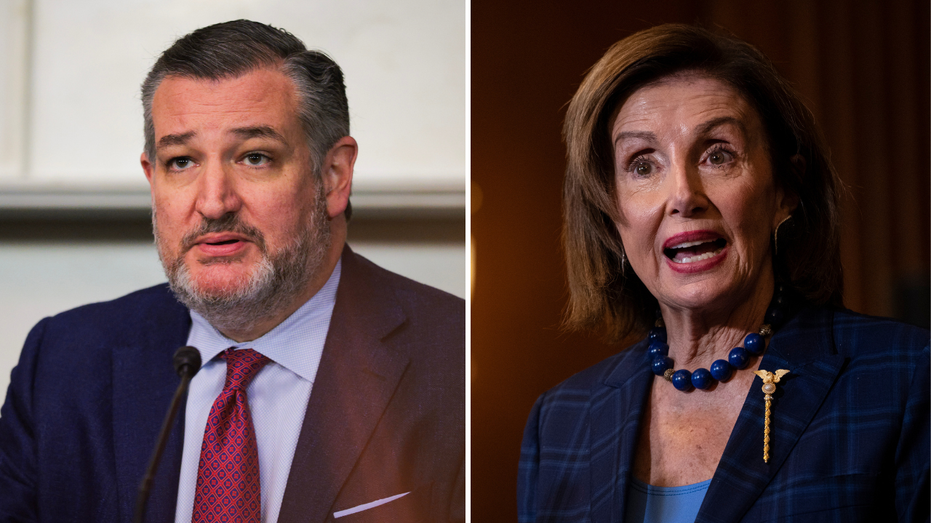 nancy pelosi and ted cruz