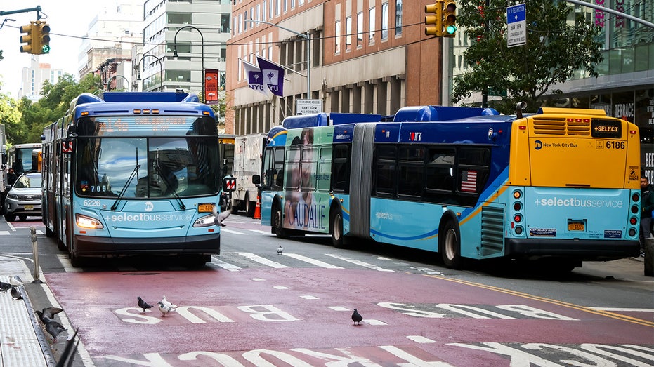 MTA buses line the streets of New York City like a billboard and are clean during the morning commute.
