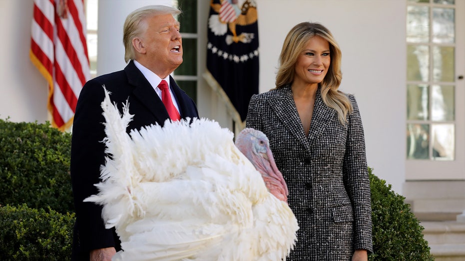 President Trump and first lady Melania Trump during turkey pardoning