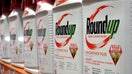 Bottles of Monsanto&rsquo;s Roundup are seen for sale at a retail store in Glendale, California, on June 19, 2018. - Fox Business News