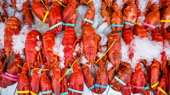 $400,000 lobster shipment disappears while on its way to Costco locations - Fox News