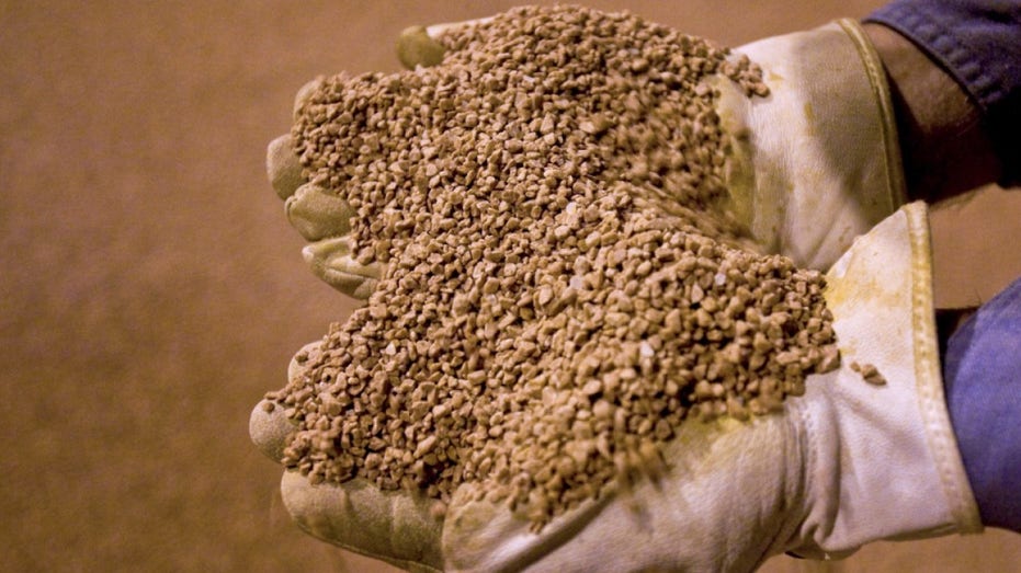 Rocky Gibney, a mill operations superintendent at the Potash Corp. of Saskatchewan Lanigan mine, displays potash in a warehouse at the company's facility in Lanigan, Sasketchewan, Canada.