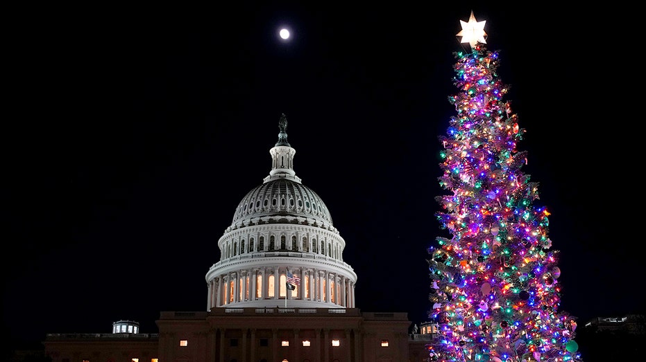 Christmas tree outside of the U.S. Capitol