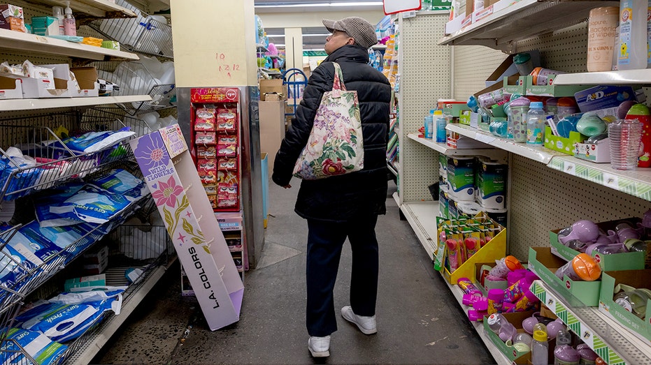 People shopped at the dollar tree store in Brooklyn.