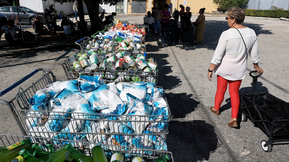 Grocery carts filled with food are lined up in preparation for distribution at a community food bank.