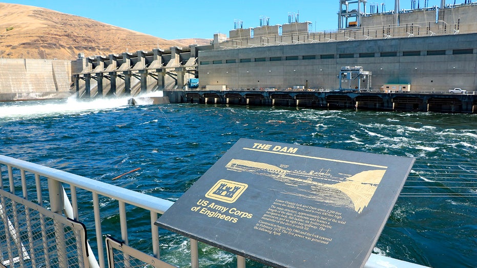 Hydroelectric dam