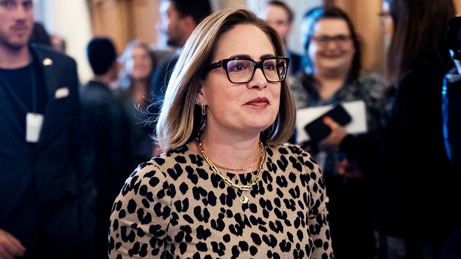 Then-Sen. Kyrsten Sinema in 2024