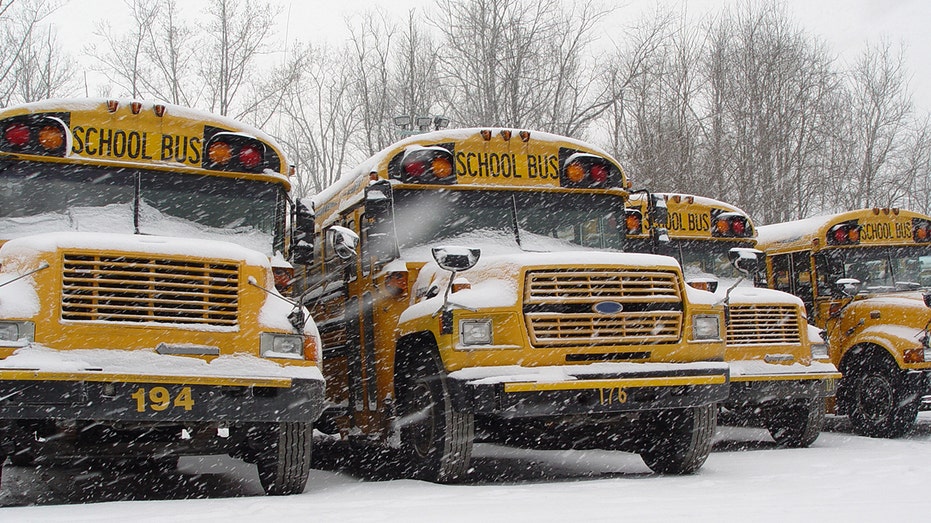 Buses are parked in the snow