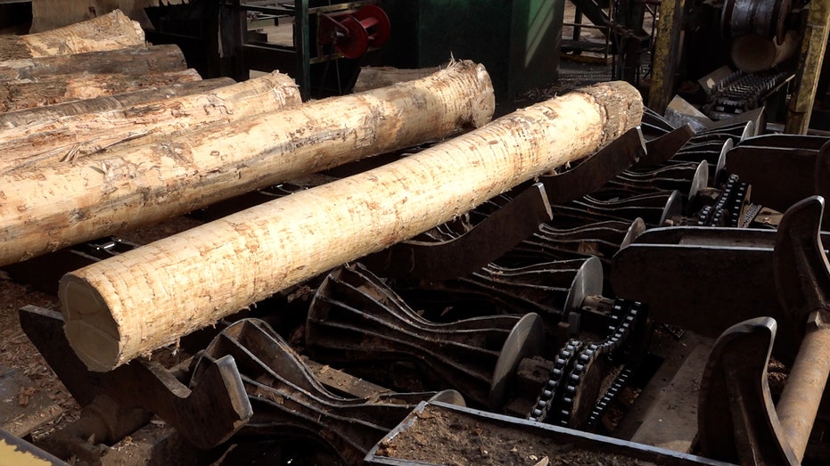 Sawmill is fighting in the middle of trade talks