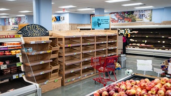 Store shelves wiped clean as Americans brace for massive winter storm - Fox News