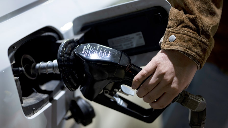 Person puts gas in vehicle